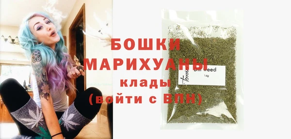 крисы Медвежьегорск