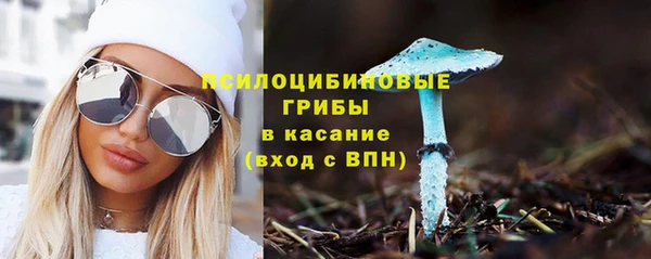 стафф Мегион