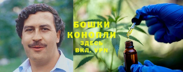 стафф Мегион