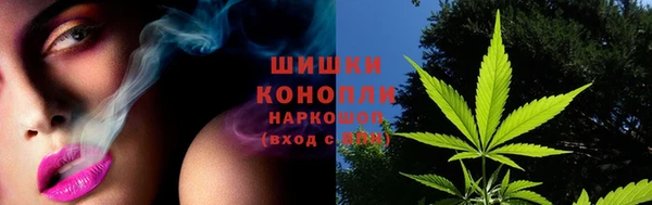 крисы Медвежьегорск