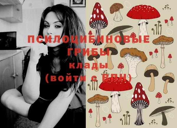 крисы Медвежьегорск