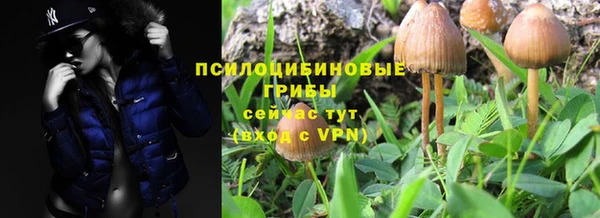 крисы Медвежьегорск