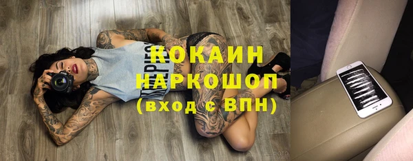 крисы Медвежьегорск